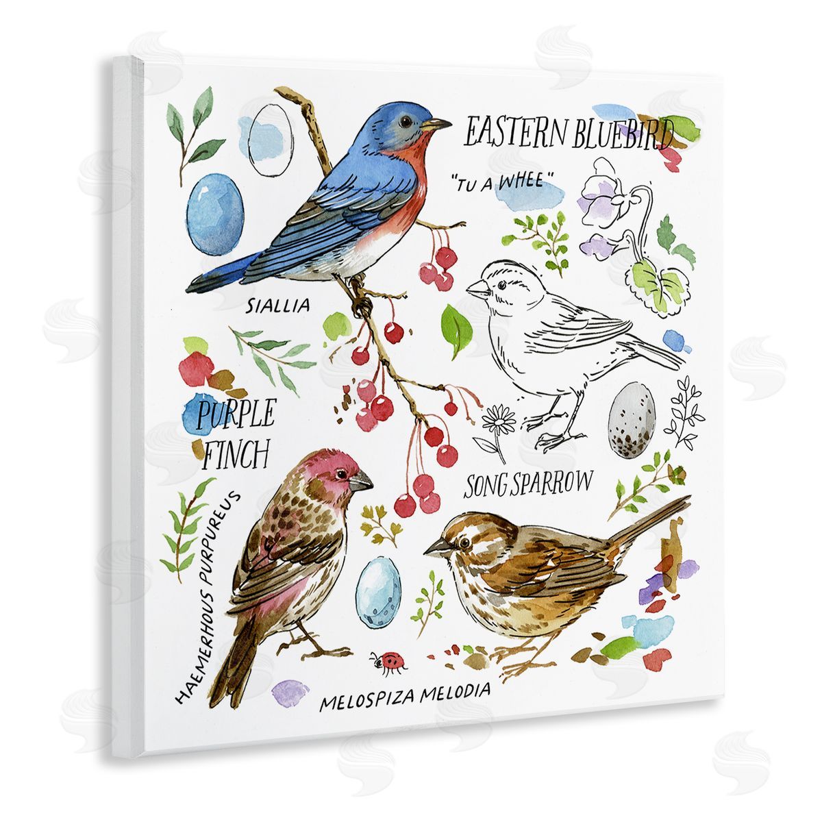Jane Maday Woodland Birds Diagram Wooden Wall Plaque Art Print