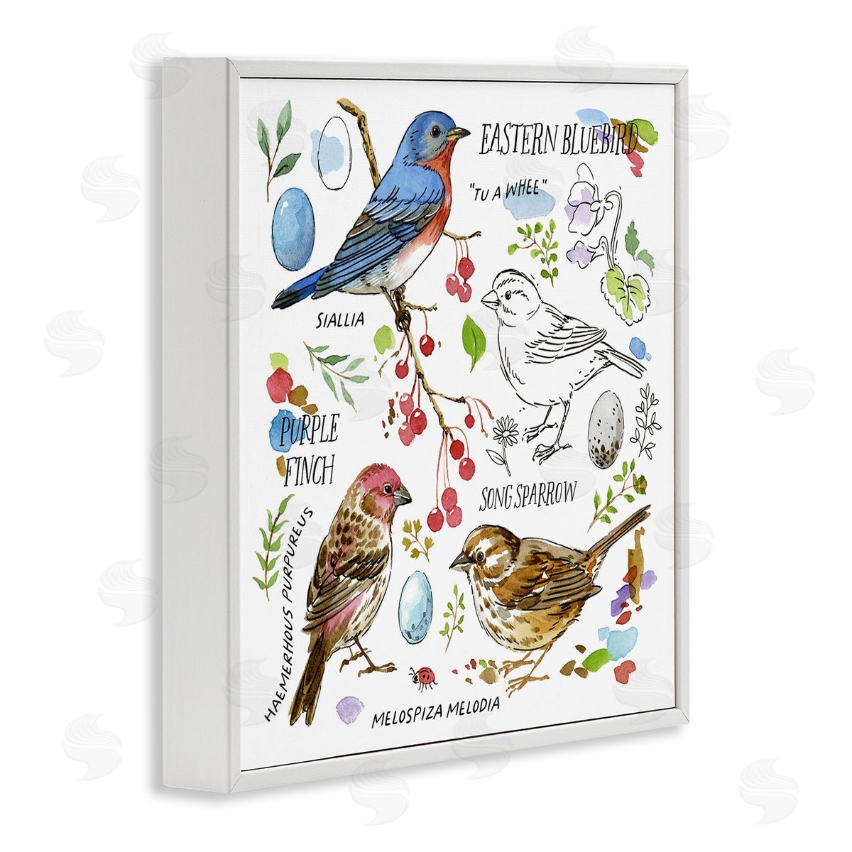 Jane Maday Woodland Birds Diagram White Framed Giclee Wall Art Print
