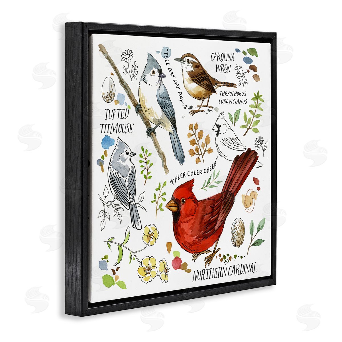 Jane Maday Bird Watching Chart Black Floating Frame Canvas Wall Art Print