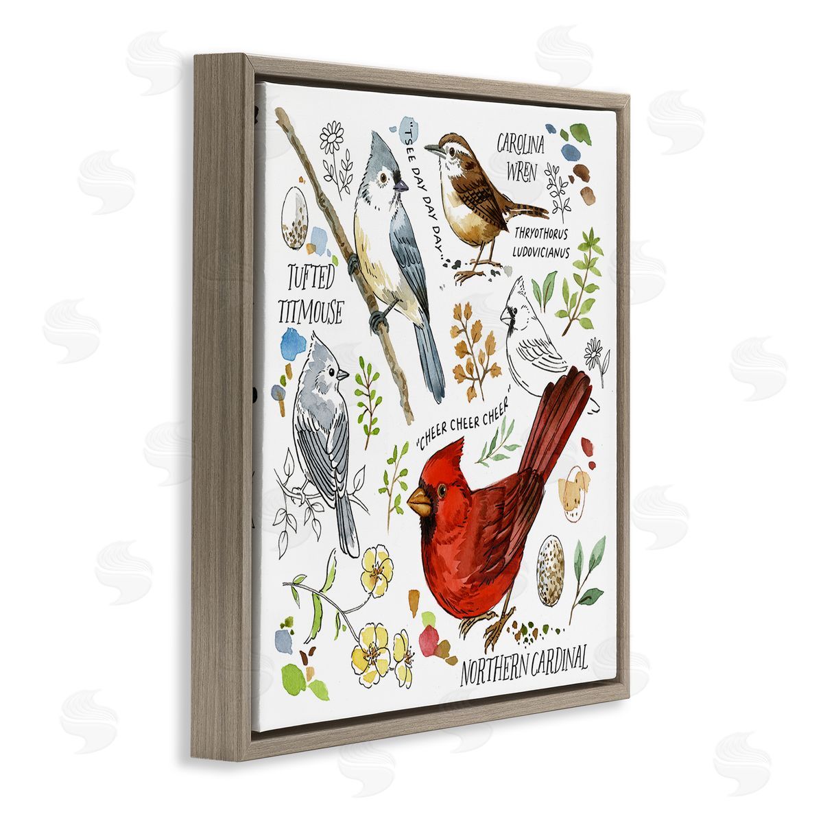Jane Maday Bird Watching Chart Brown Floating Frame Canvas Wall Art Print