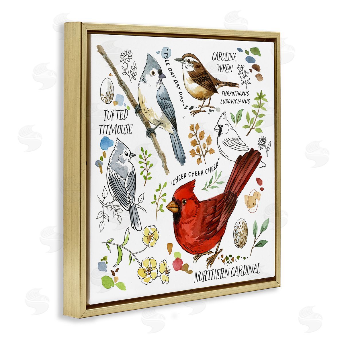 Jane Maday Bird Watching Chart Gold Floating Frame Canvas Wall Art Print