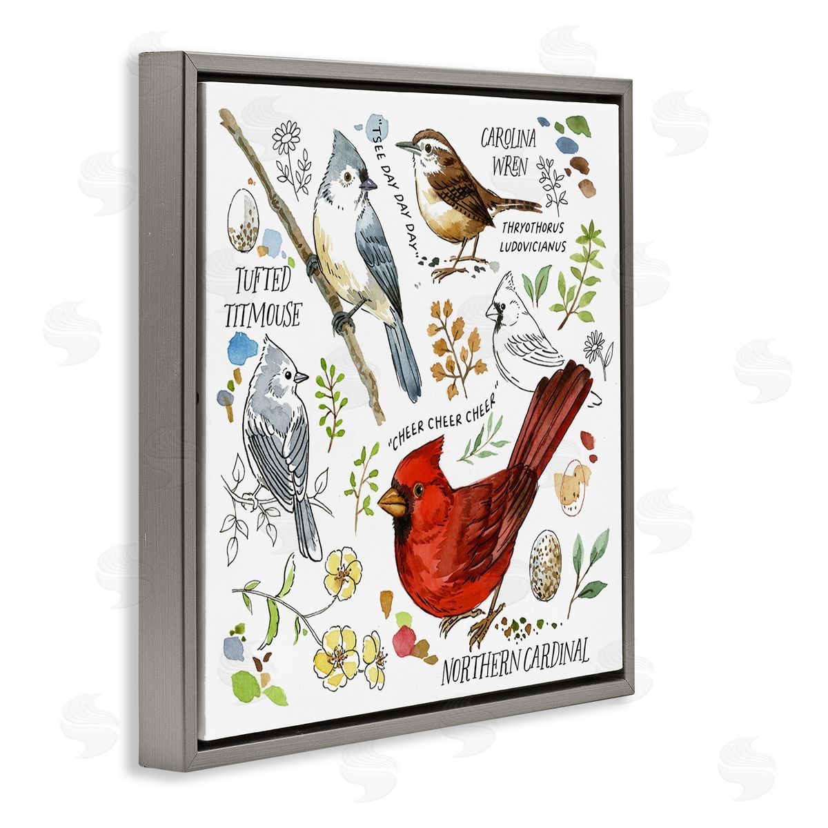 Jane Maday Bird Watching Chart Gray Floating Frame Canvas Wall Art Print