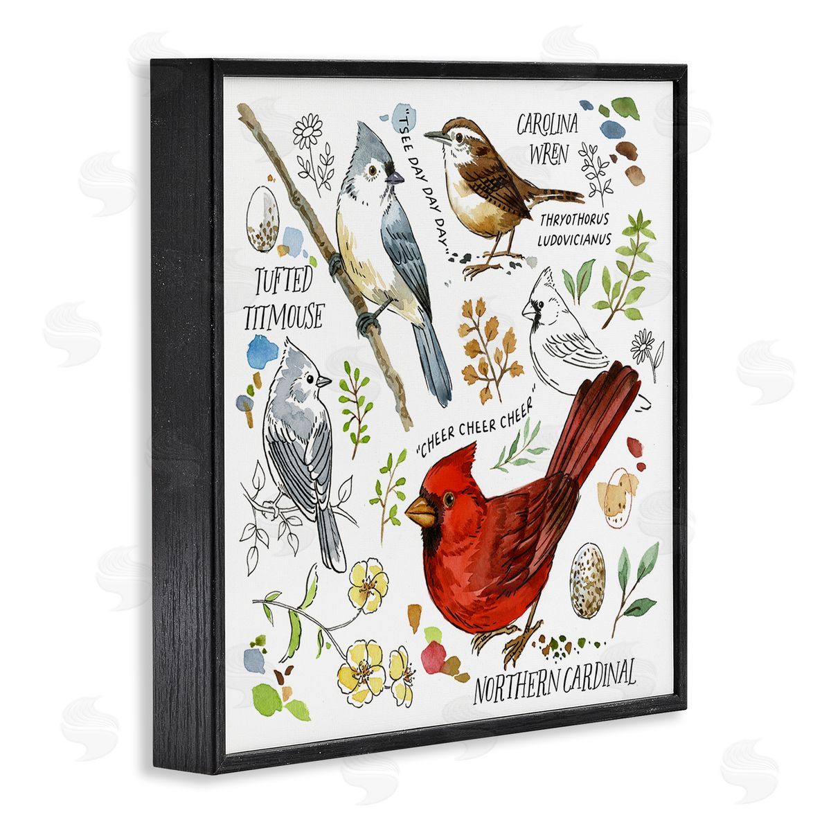 Jane Maday Bird Watching Chart Black Framed Giclee Wall Art Print