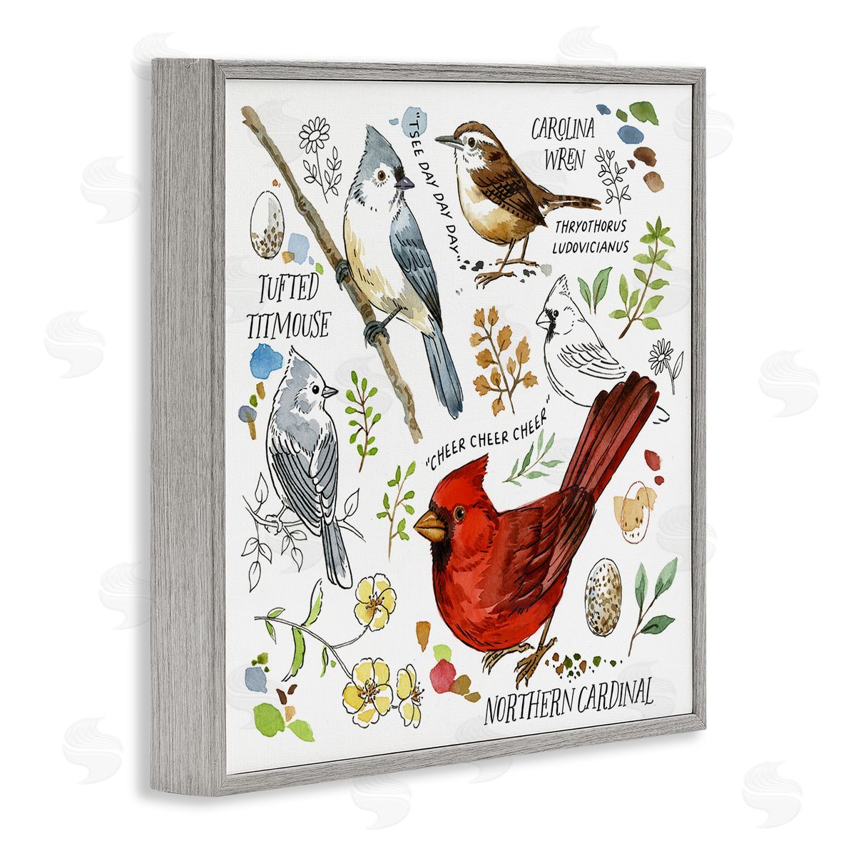 Jane Maday Bird Watching Chart Gray Framed Giclee Wall Art Print