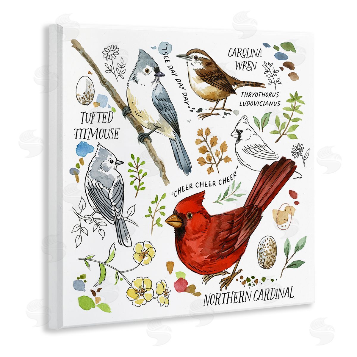Jane Maday Bird Watching Chart Wooden Wall Plaque Art Print