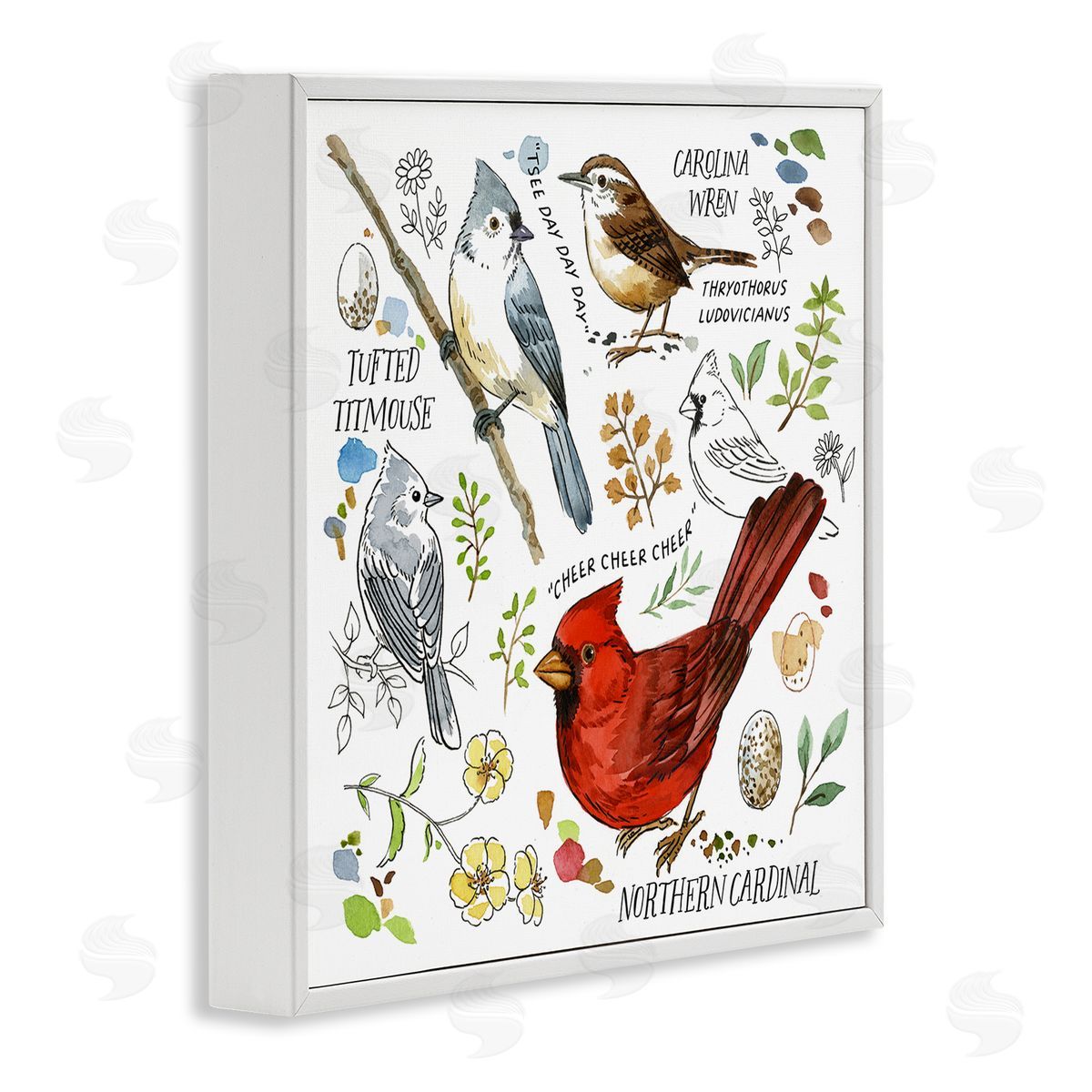 Jane Maday Bird Watching Chart White Framed Giclee Wall Art Print