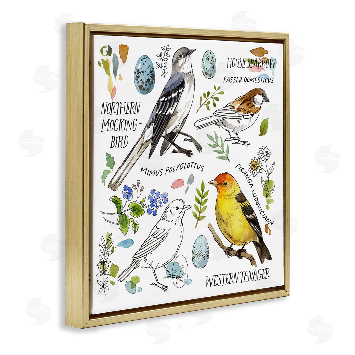 Jane Maday Local Bird Diagram Gold Floating Frame Canvas Wall Art Print