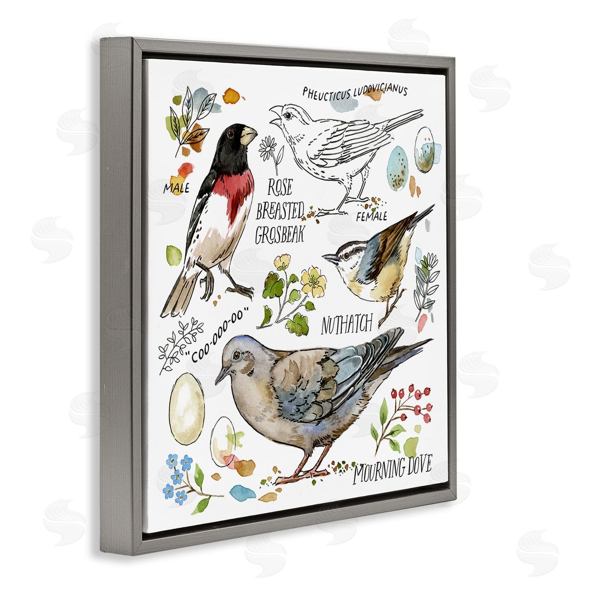 Jane Maday Bird Watching Diagram Gray Floating Frame Canvas Wall Art Print