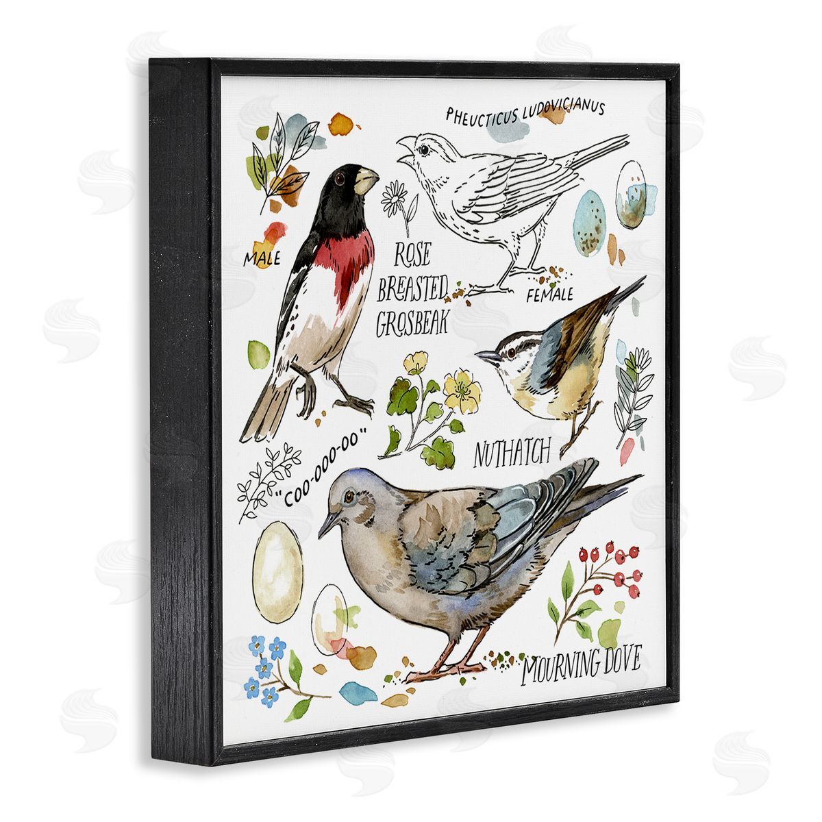 Jane Maday Bird Watching Diagram Black Framed Giclee Wall Art Print