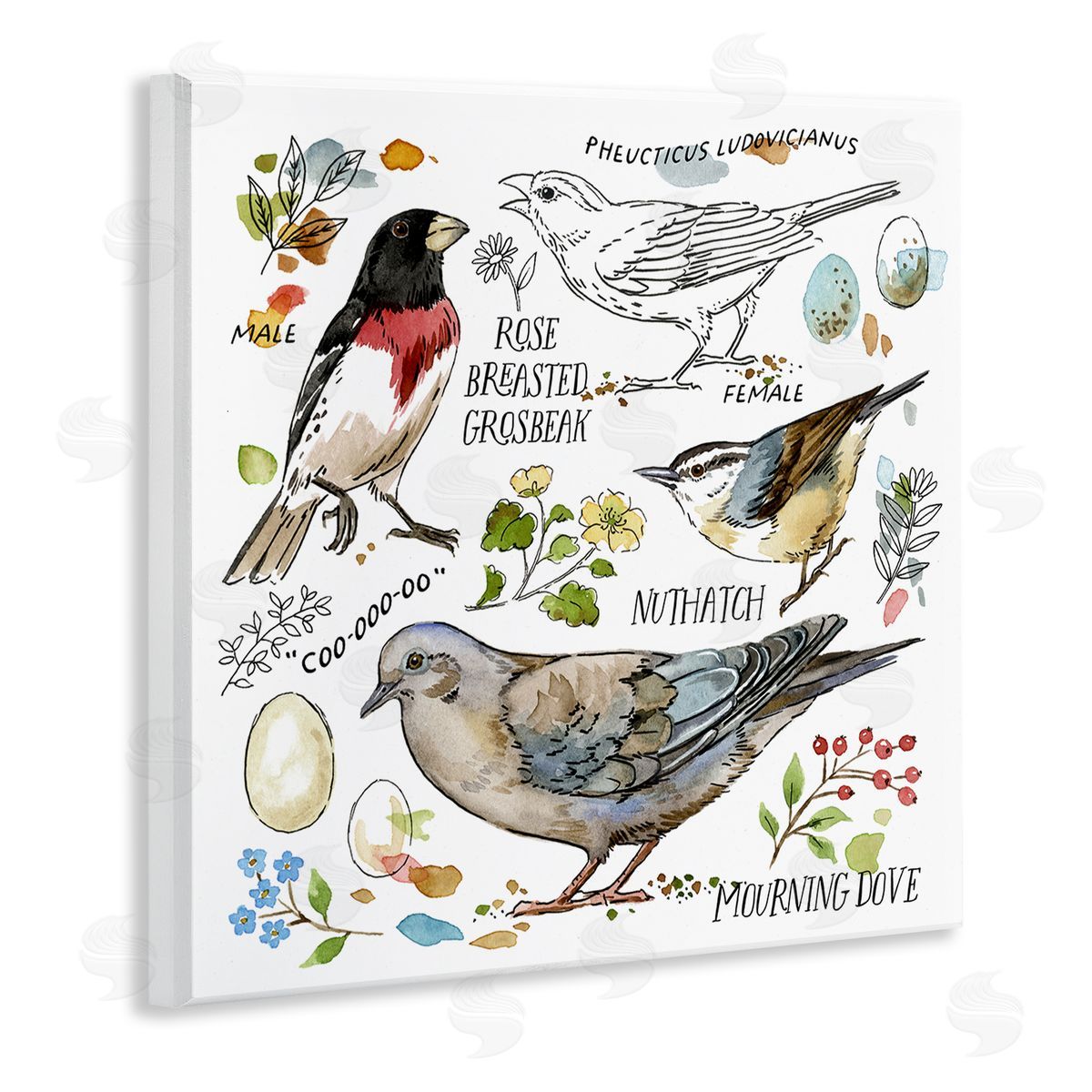 Jane Maday Bird Watching Diagram Wooden Wall Plaque Art Print