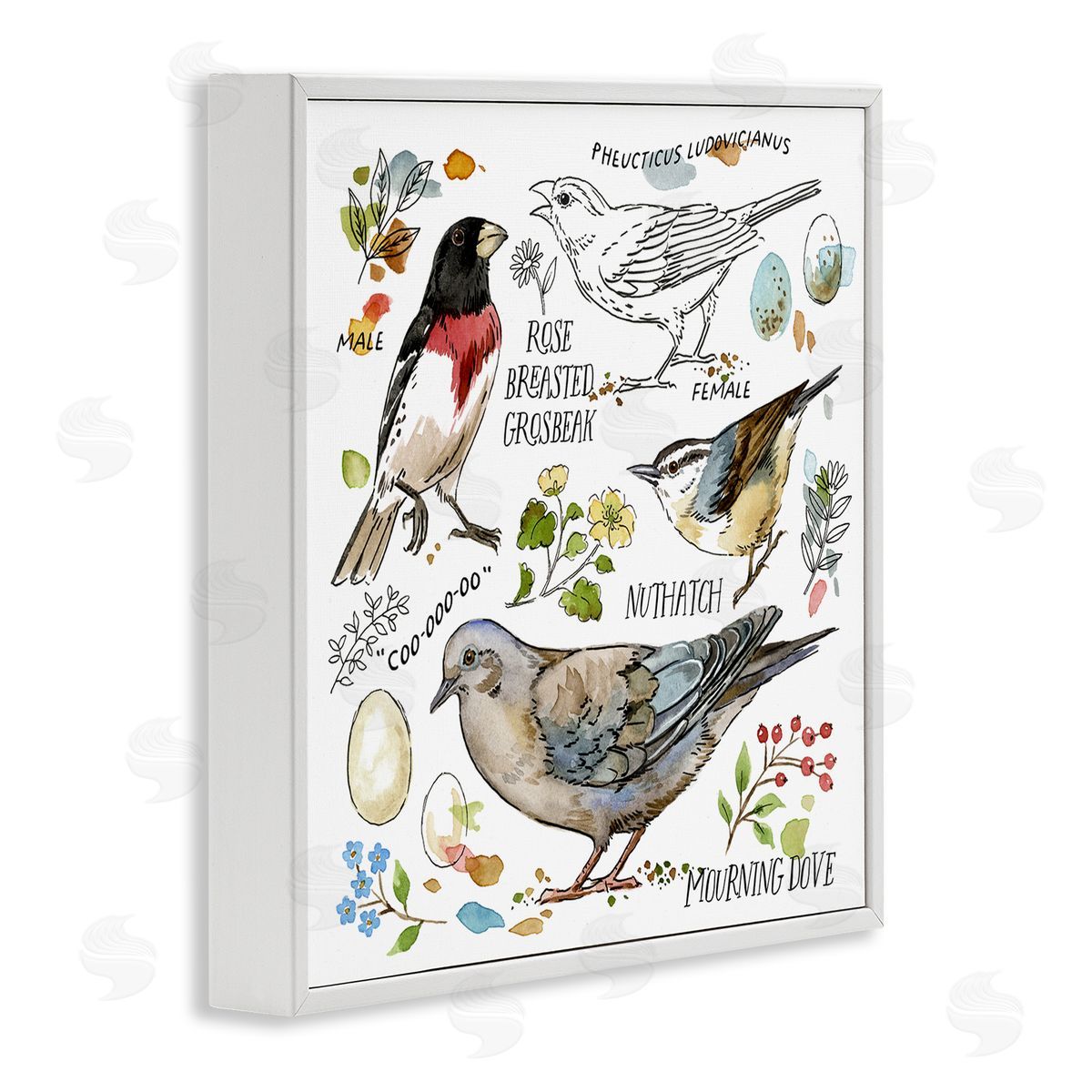 Jane Maday Bird Watching Diagram White Framed Giclee Wall Art Print