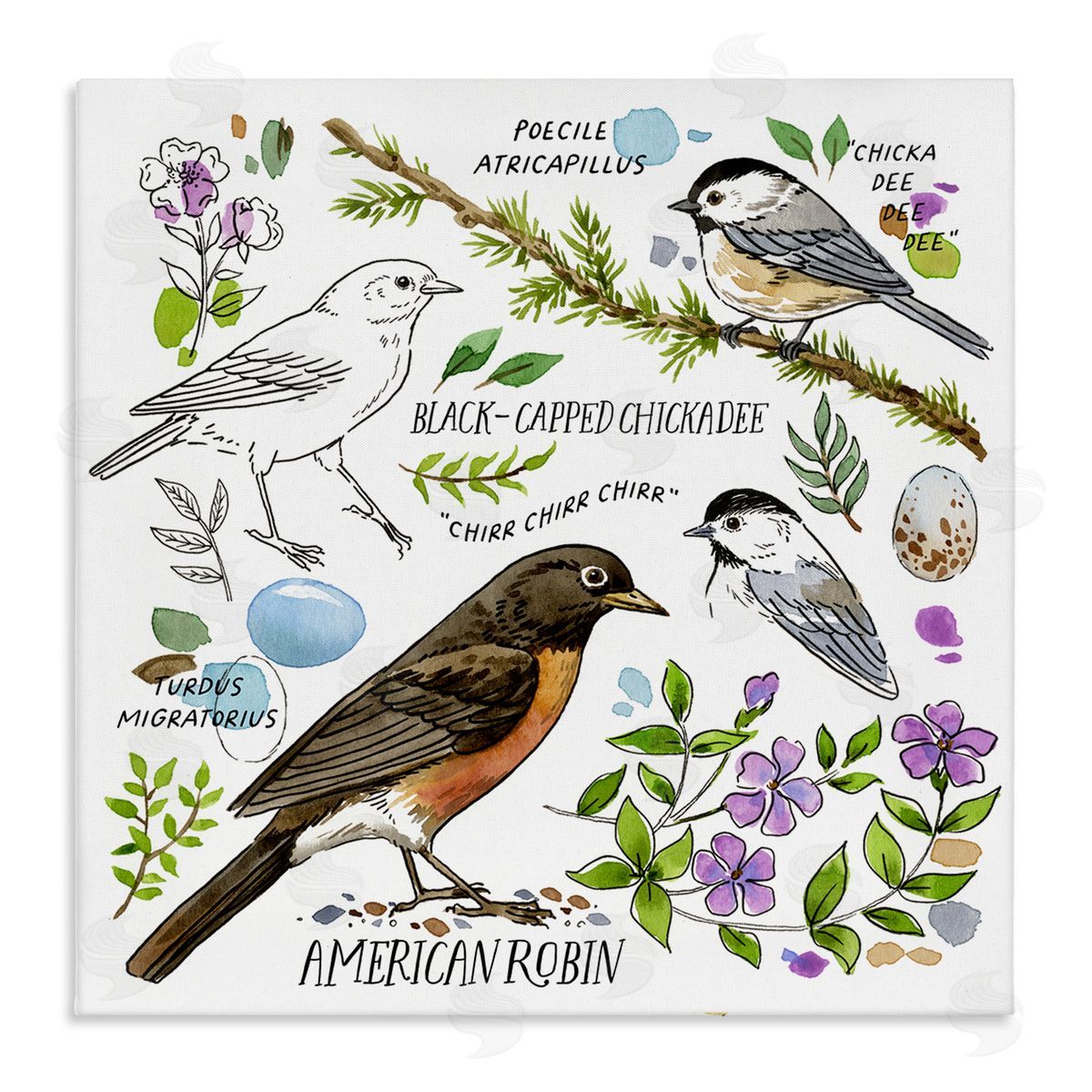 Jane Maday Local Bird Watching Canvas Wall Art Print