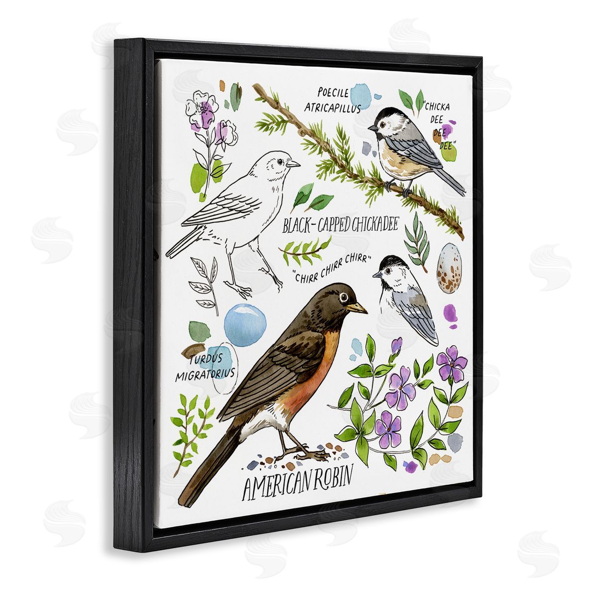 Jane Maday Local Bird Watching Black Floating Frame Canvas Wall Art Print