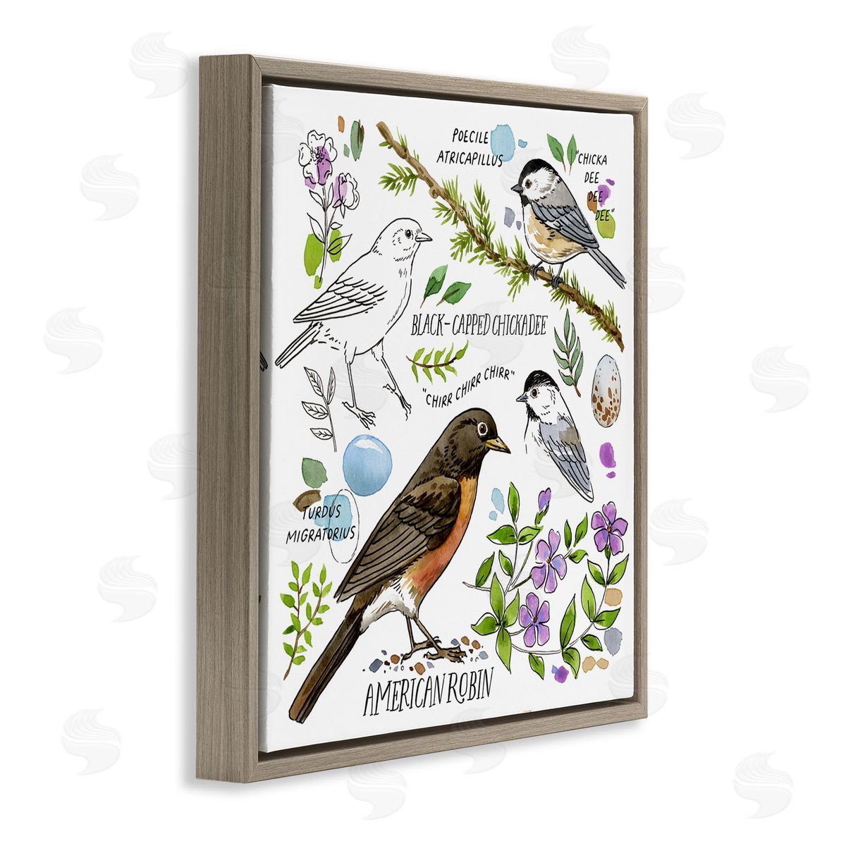Jane Maday Local Bird Watching Brown Floating Frame Canvas Wall Art Print