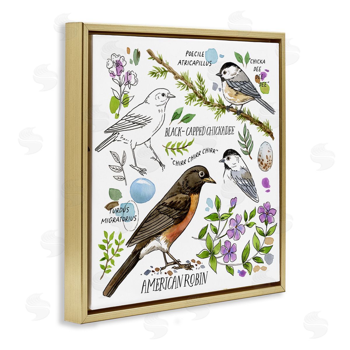 Jane Maday Local Bird Watching Gold Floating Frame Canvas Wall Art Print