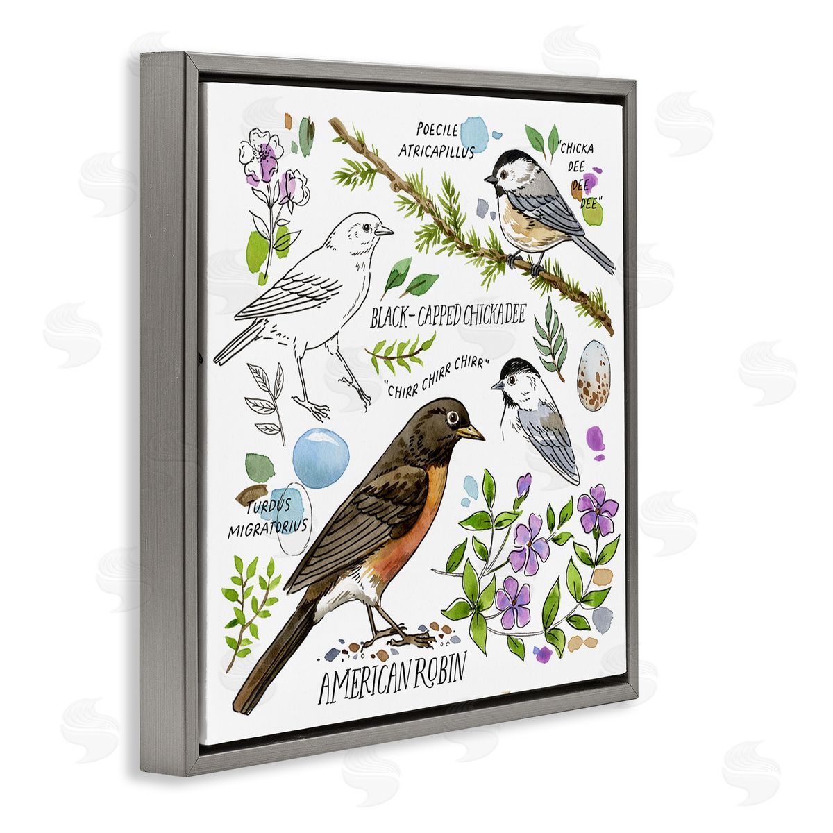 Jane Maday Local Bird Watching Gray Floating Frame Canvas Wall Art Print