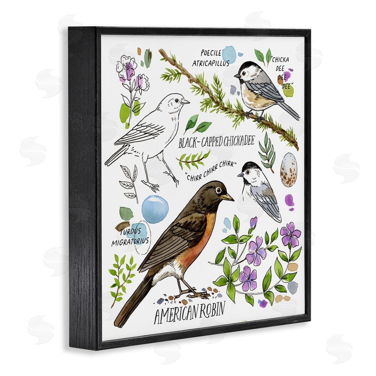 Jane Maday Local Bird Watching Black Framed Giclee Wall Art Print