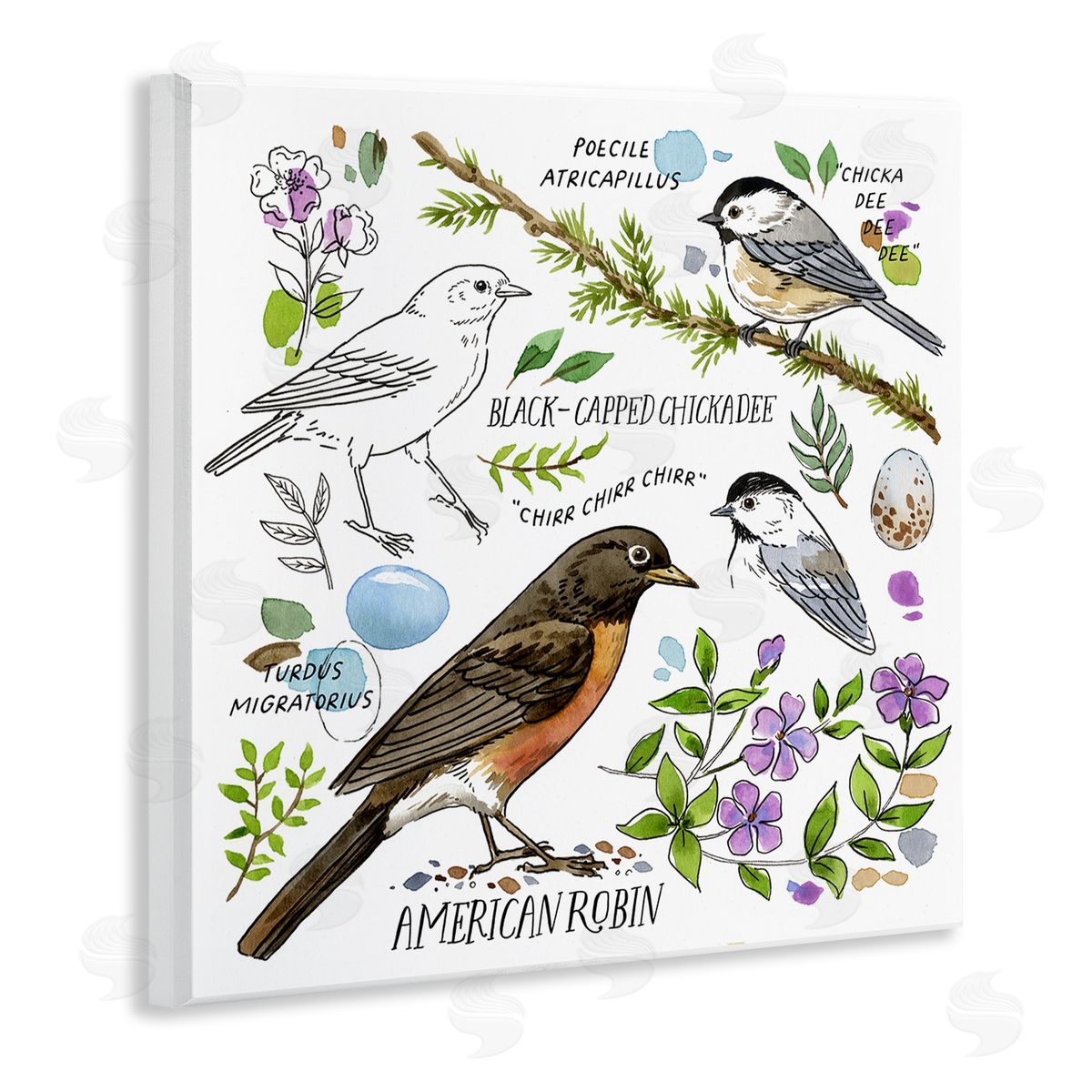 Jane Maday Local Bird Watching Wooden Wall Plaque Art Print