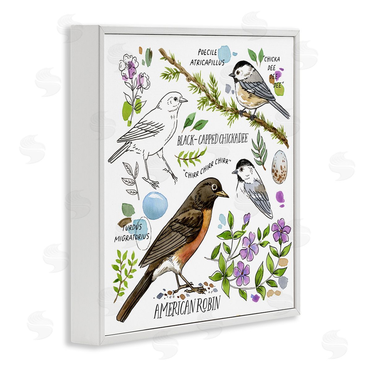 Jane Maday Local Bird Watching White Framed Giclee Wall Art Print