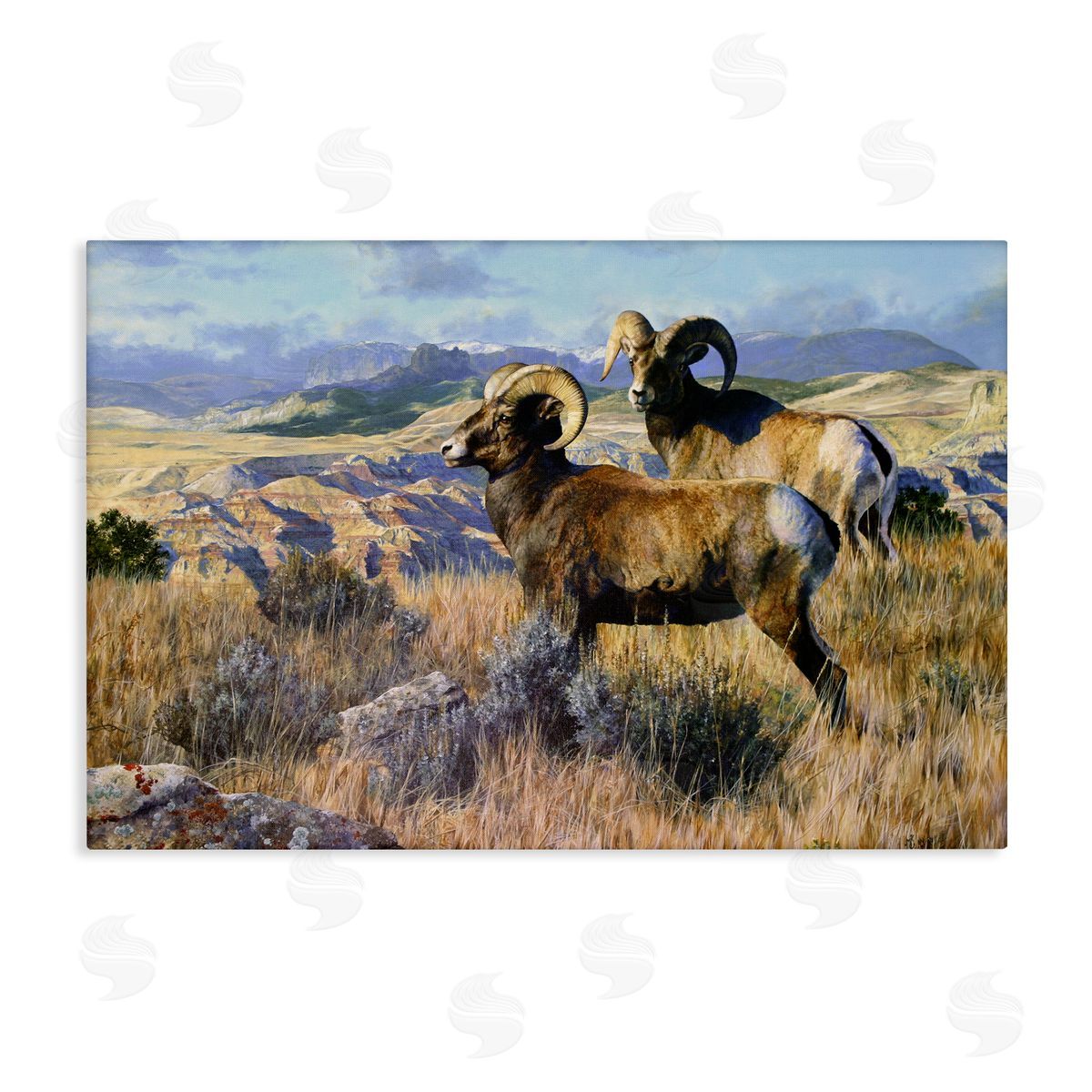Wild Rams Torrey Canyon Canvas Wall Art, Home Decor by Mark Kelso