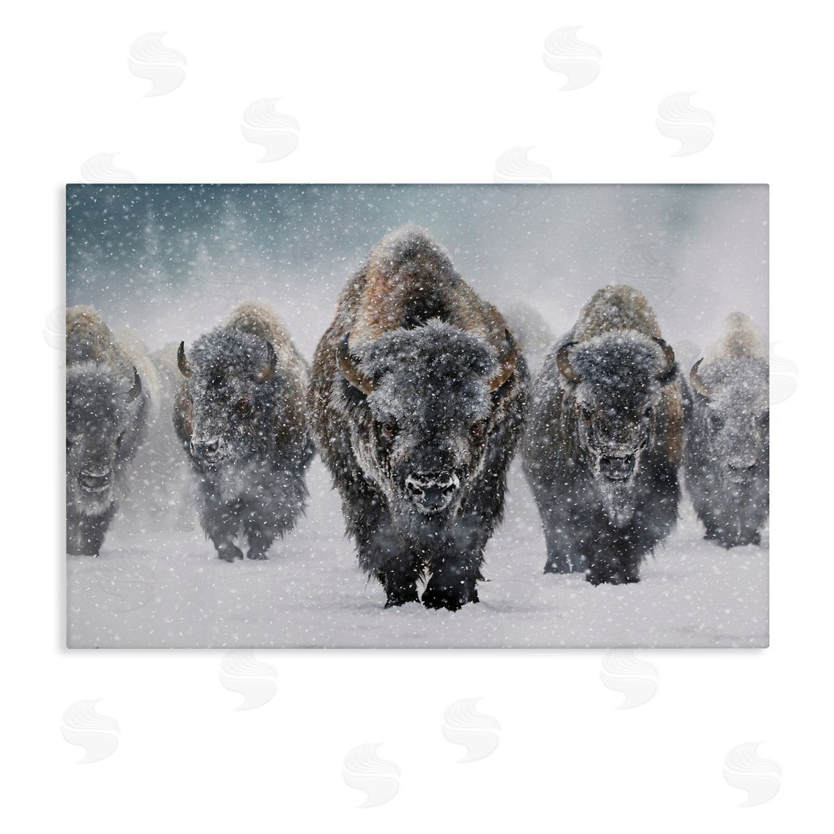 Mark Kelso Indomitable Bison in Snow Canvas Wall Art Print