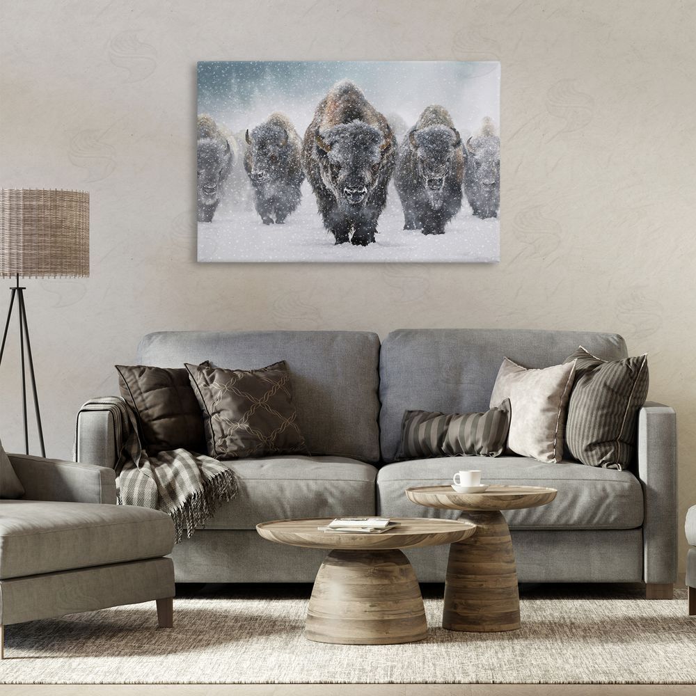 Mark Kelso Indomitable Bison in Snow Canvas Wall Art Print in Room