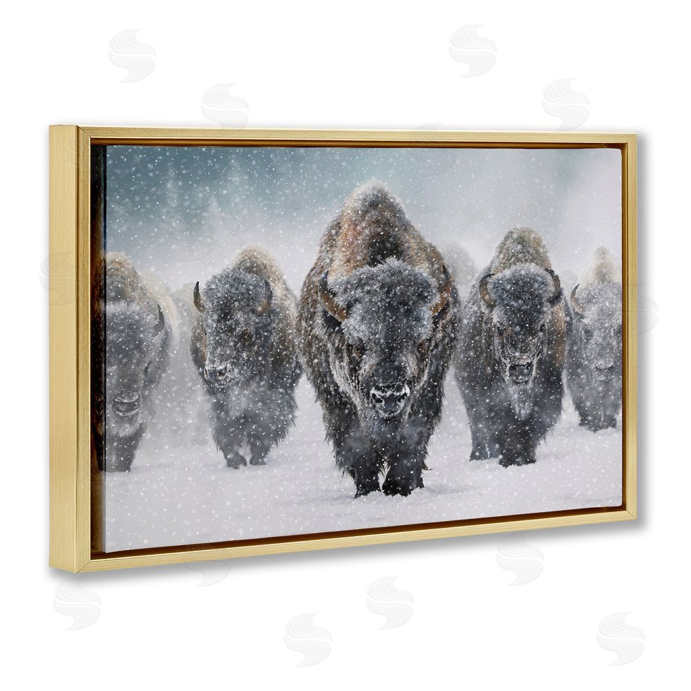 Mark Kelso Indomitable Bison in Snow Gold Floating Frame Canvas Wall Art Print