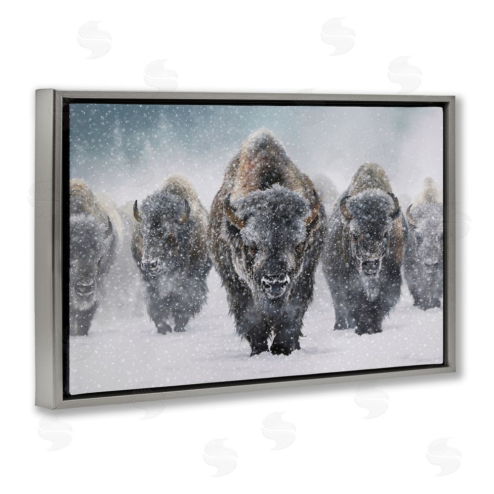 Mark Kelso Indomitable Bison in Snow Gray Floating Frame Canvas Wall Art Print