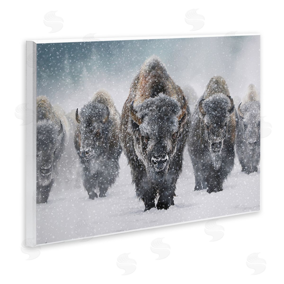 Mark Kelso Indomitable Bison in Snow Wooden Wall Plaque Art Print