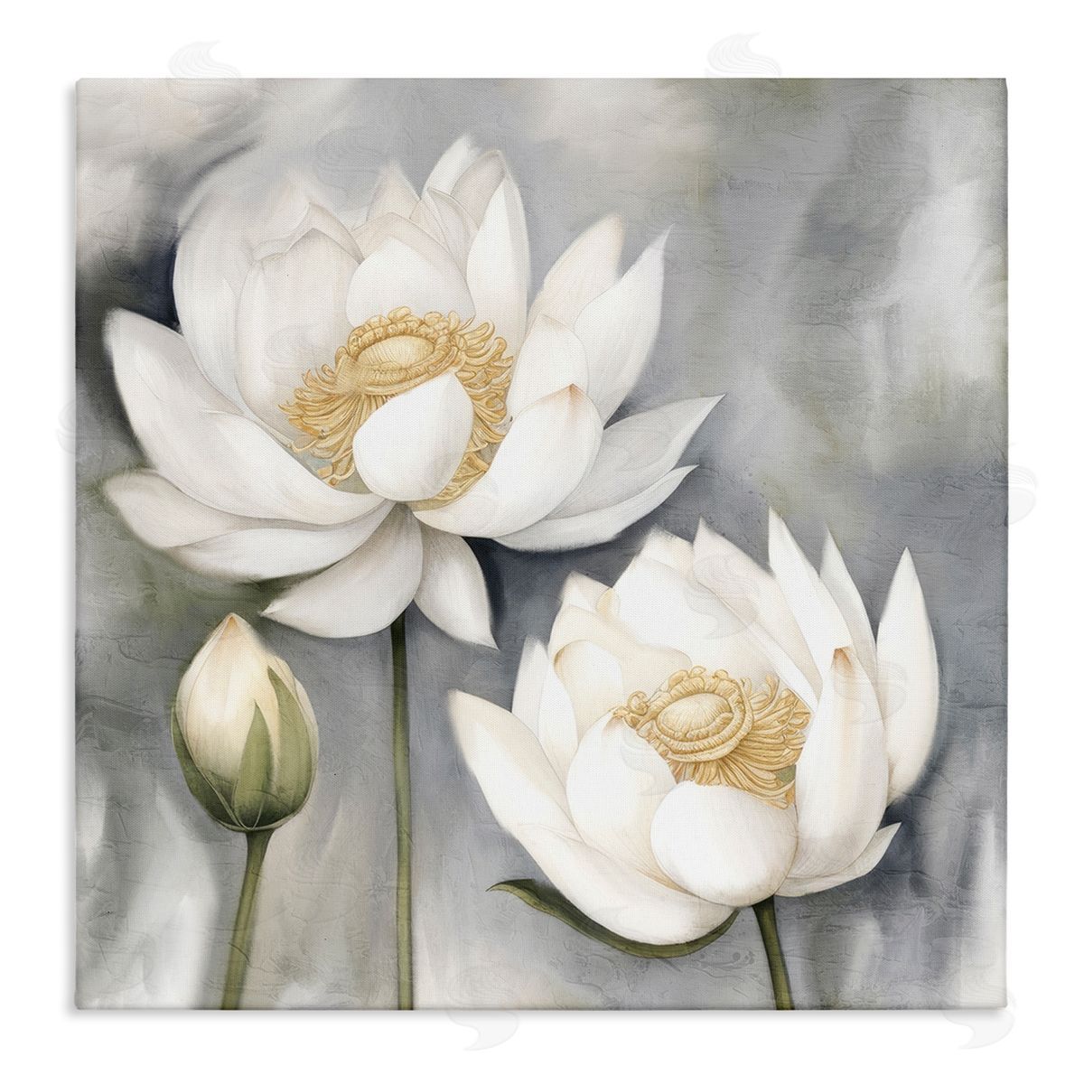 Kim Allen White Lotuses on Grey Canvas Wall Art Print