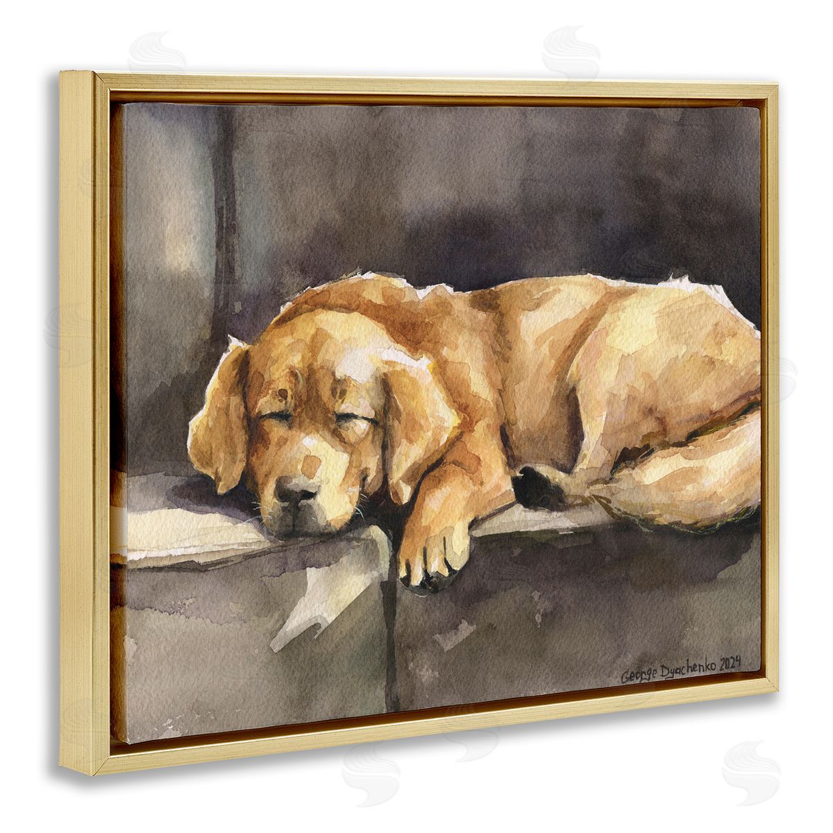 George Dyachenko Sleeping Golden Retriever Gold Floating Frame Canvas Wall Art Print