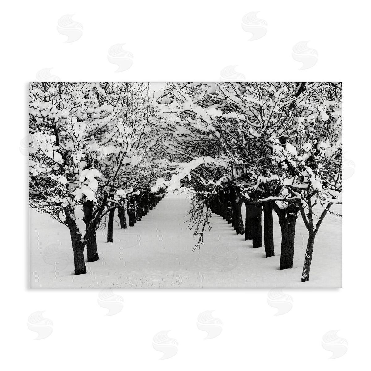 Nancy Crowell Winter Tree Pathway Canvas Wall Art Print