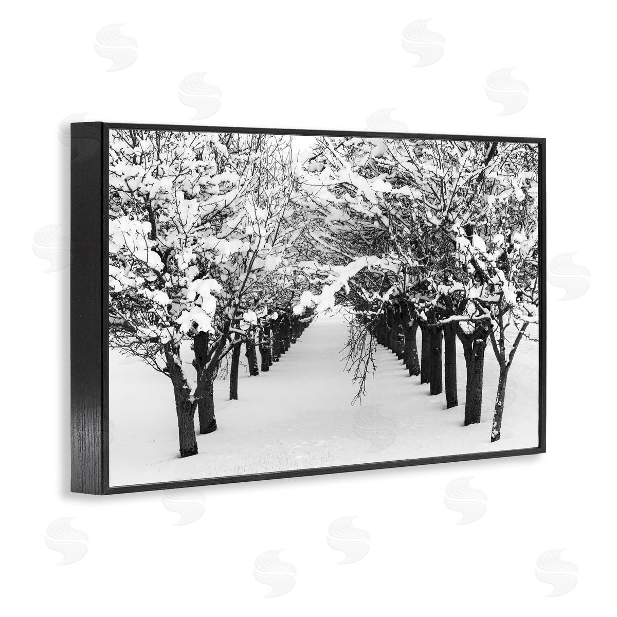 Nancy Crowell Winter Tree Pathway Black Framed Giclee Wall Art Print