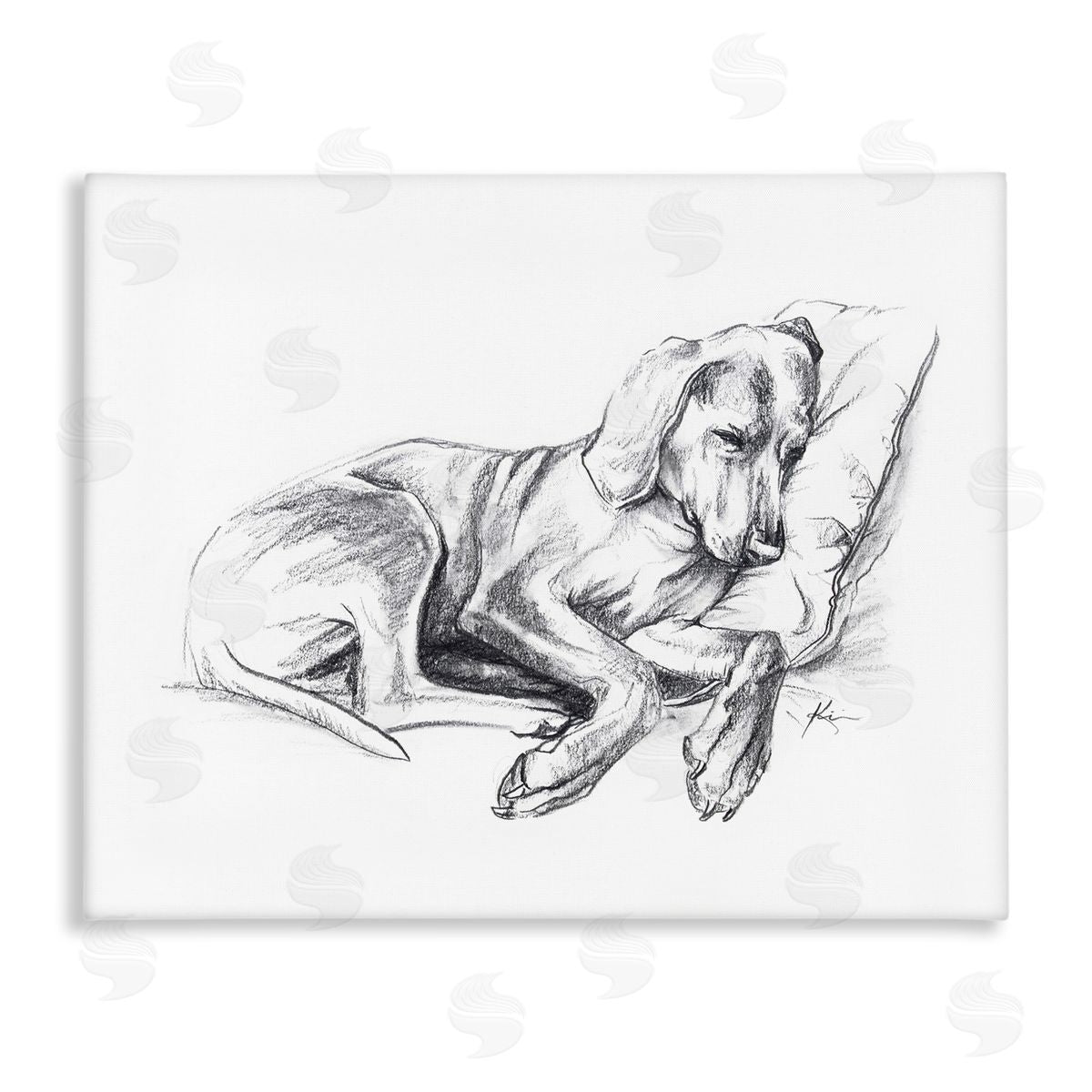 Lindsay Kivi Fine Art Napping Dog Drawing Canvas Wall Art Print