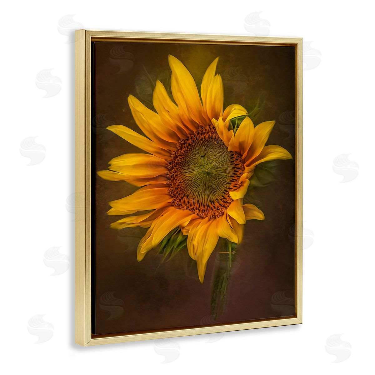 Kelley Parker Curling Petals Sunflower Gold Floating Frame Canvas Wall Art Print