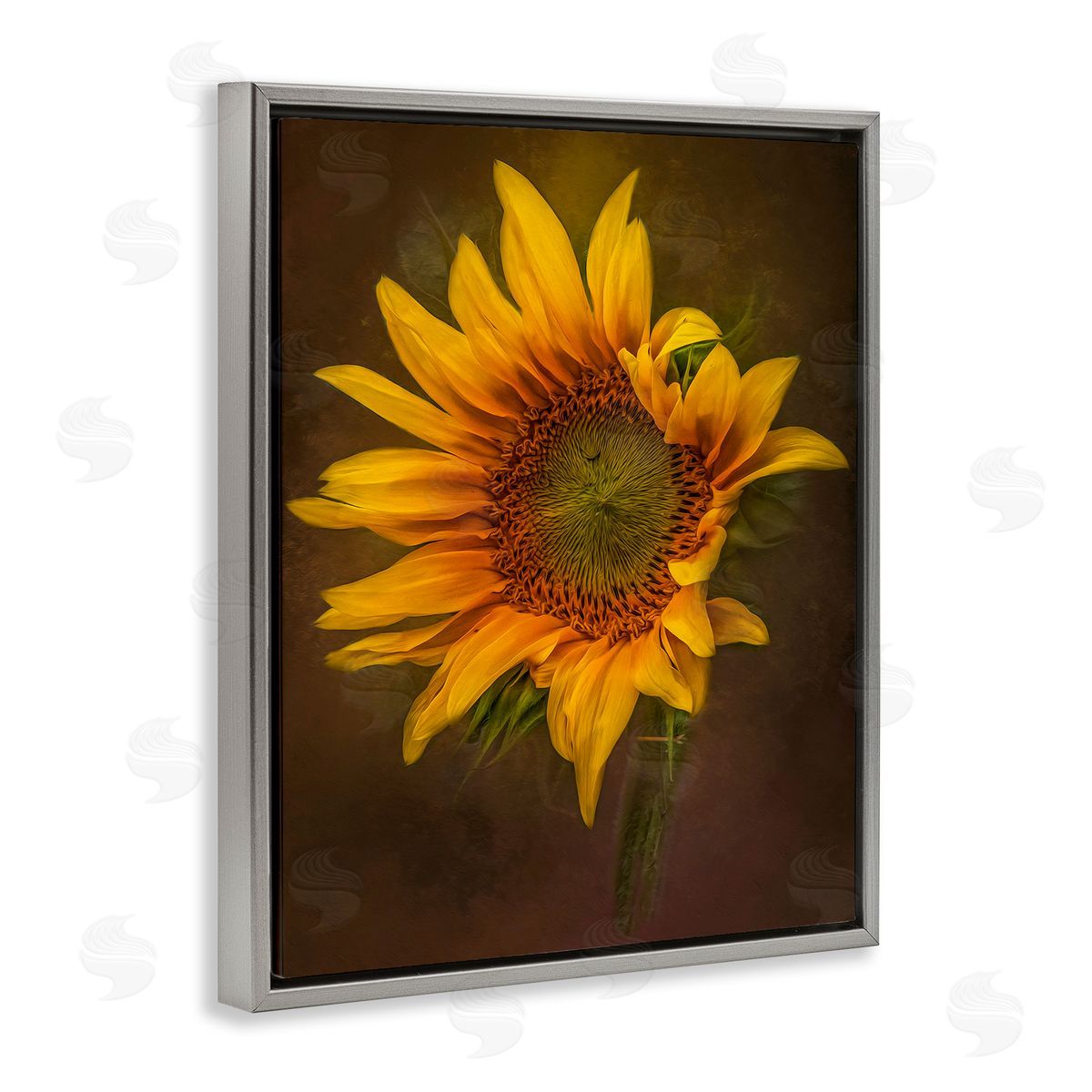 Kelley Parker Curling Petals Sunflower Gray Floating Frame Canvas Wall Art Print