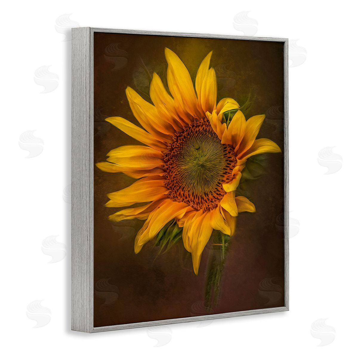 Kelley Parker Curling Petals Sunflower Gray Framed Giclee Wall Art Print