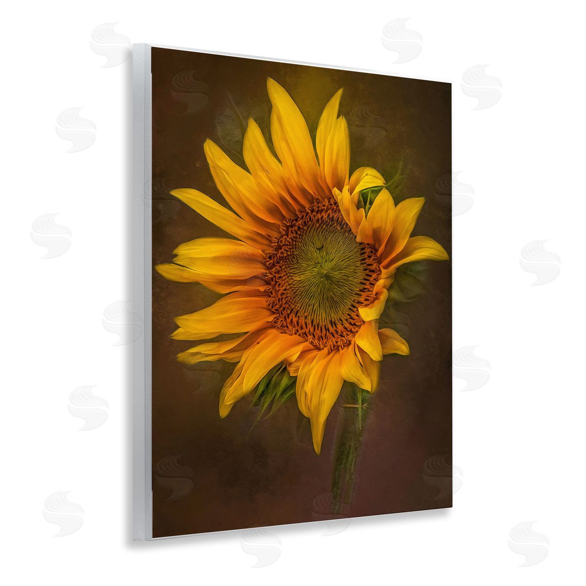Kelley Parker Curling Petals Sunflower Wooden Wall Plaque Art Print