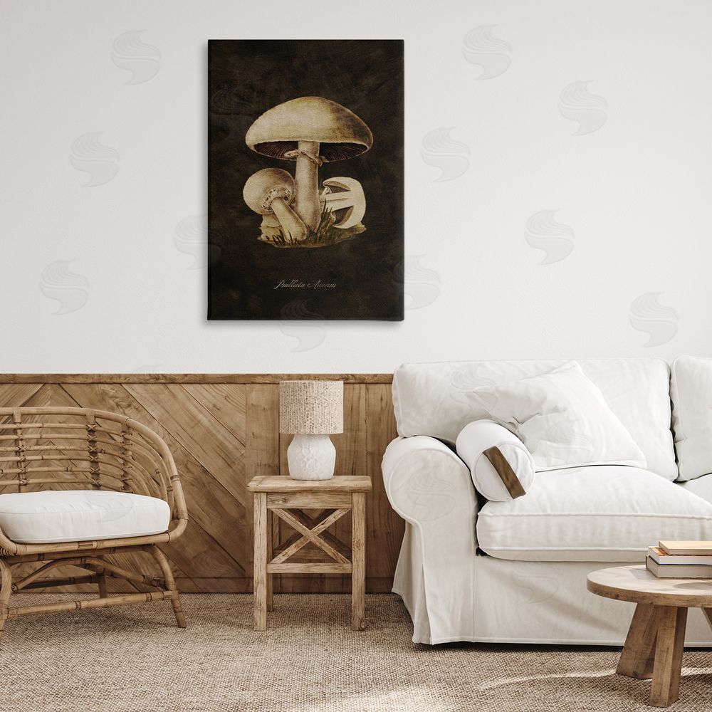 Tina Higgins Designs Inc. Portobello Mushroom Study Canvas Wall Art Print in Room
