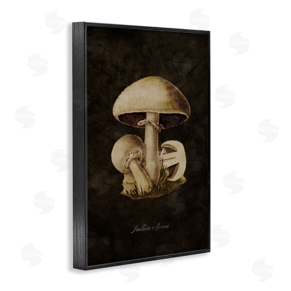 Tina Higgins Designs Inc. Portobello Mushroom Study Black Framed Giclee Wall Art Print