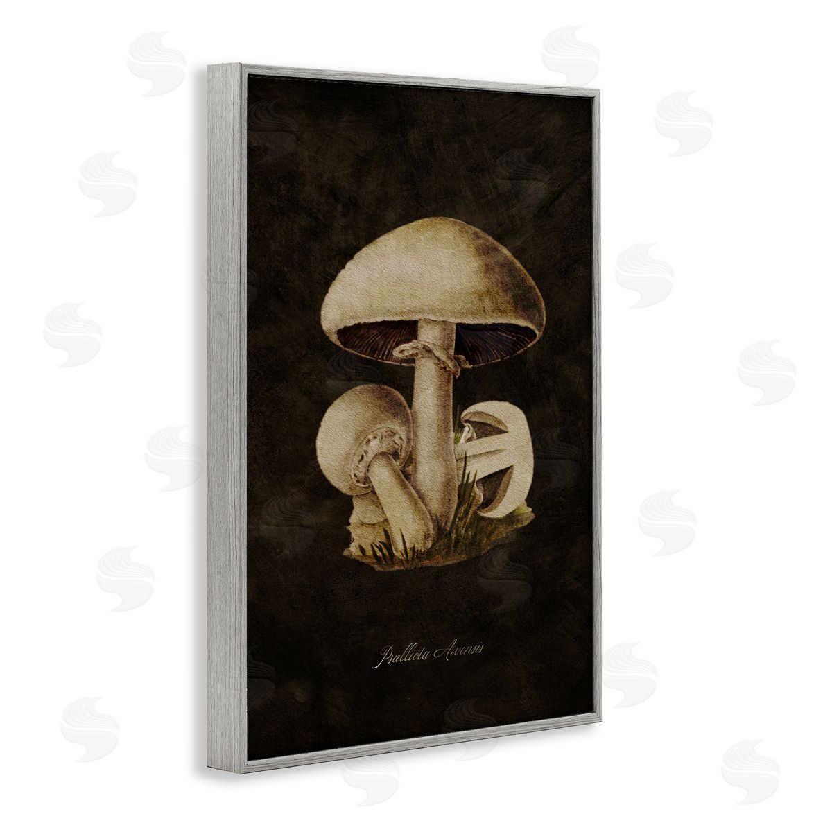 Tina Higgins Designs Inc. Portobello Mushroom Study Gray Framed Giclee Wall Art Print