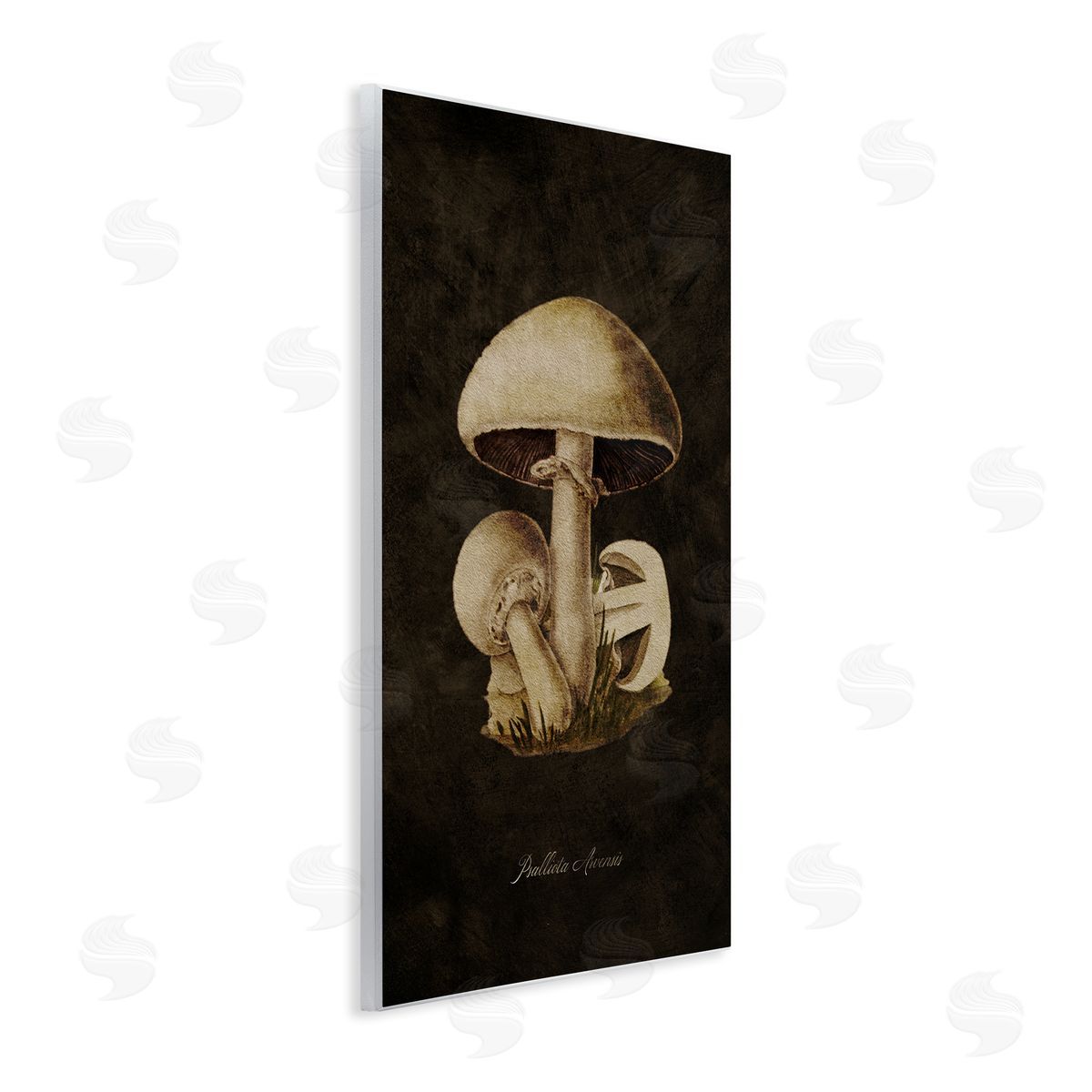 Tina Higgins Designs Inc. Portobello Mushroom Study Wooden Wall Plaque Art Print