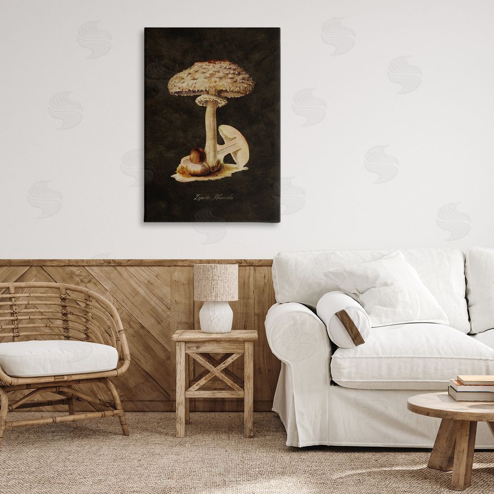 Tina Higgins Designs Inc. Vintage Mushroom Study Canvas Wall Art Print in Room