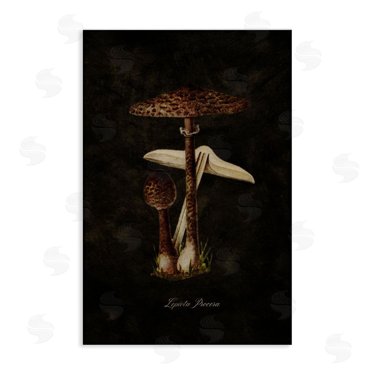 Tina Higgins Designs Inc. Dark Woodland Mushroom Canvas Wall Art Print