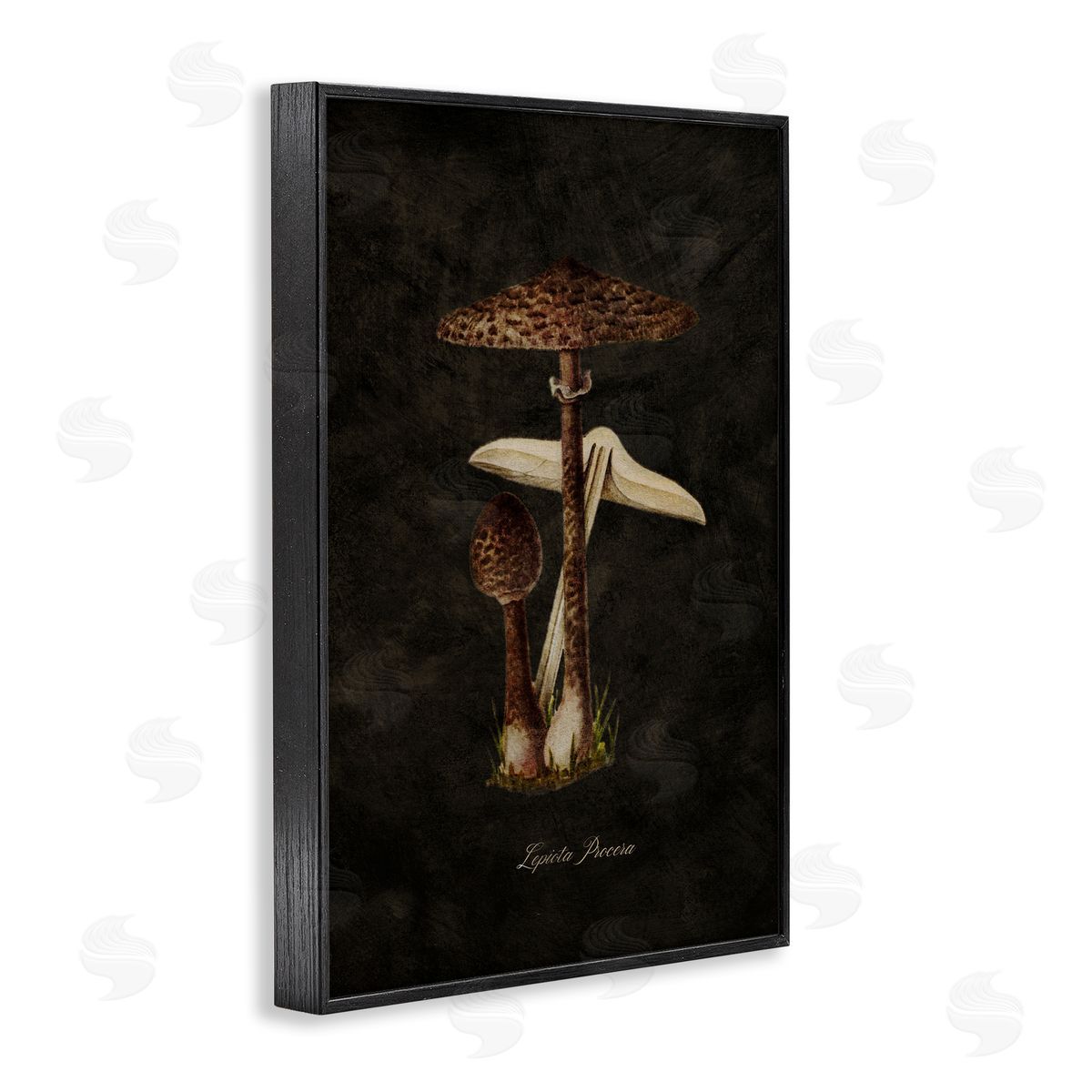 Tina Higgins Designs Inc. Dark Woodland Mushroom Black Framed Giclee Wall Art Print