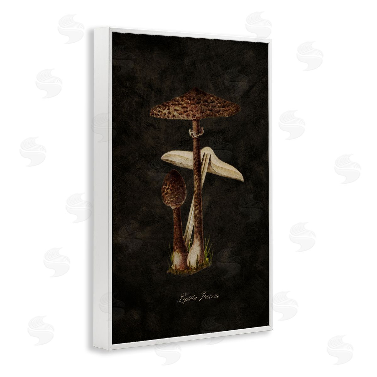 Tina Higgins Designs Inc. Dark Woodland Mushroom White Framed Giclee Wall Art Print
