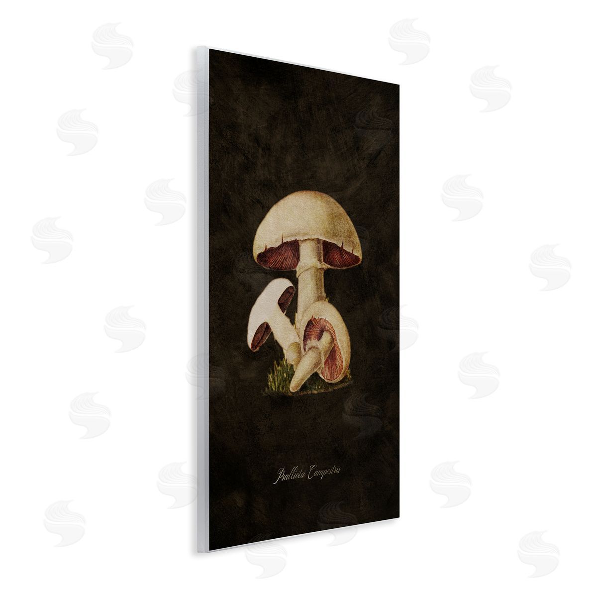 Tina Higgins Designs Inc. Vintage Portobello Mushroom Wooden Wall Plaque Art Print