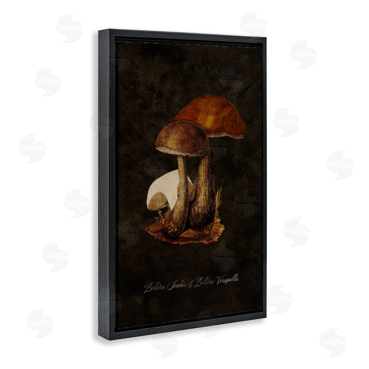 Tina Higgins Designs Inc. Mushroom Types Study Black Floating Frame Canvas Wall Art Print