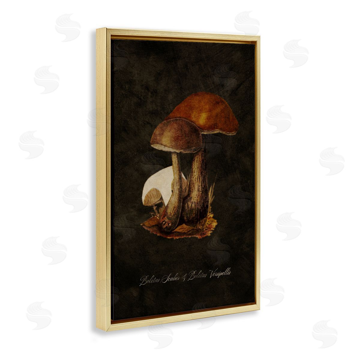 Tina Higgins Designs Inc. Mushroom Types Study Gold Floating Frame Canvas Wall Art Print