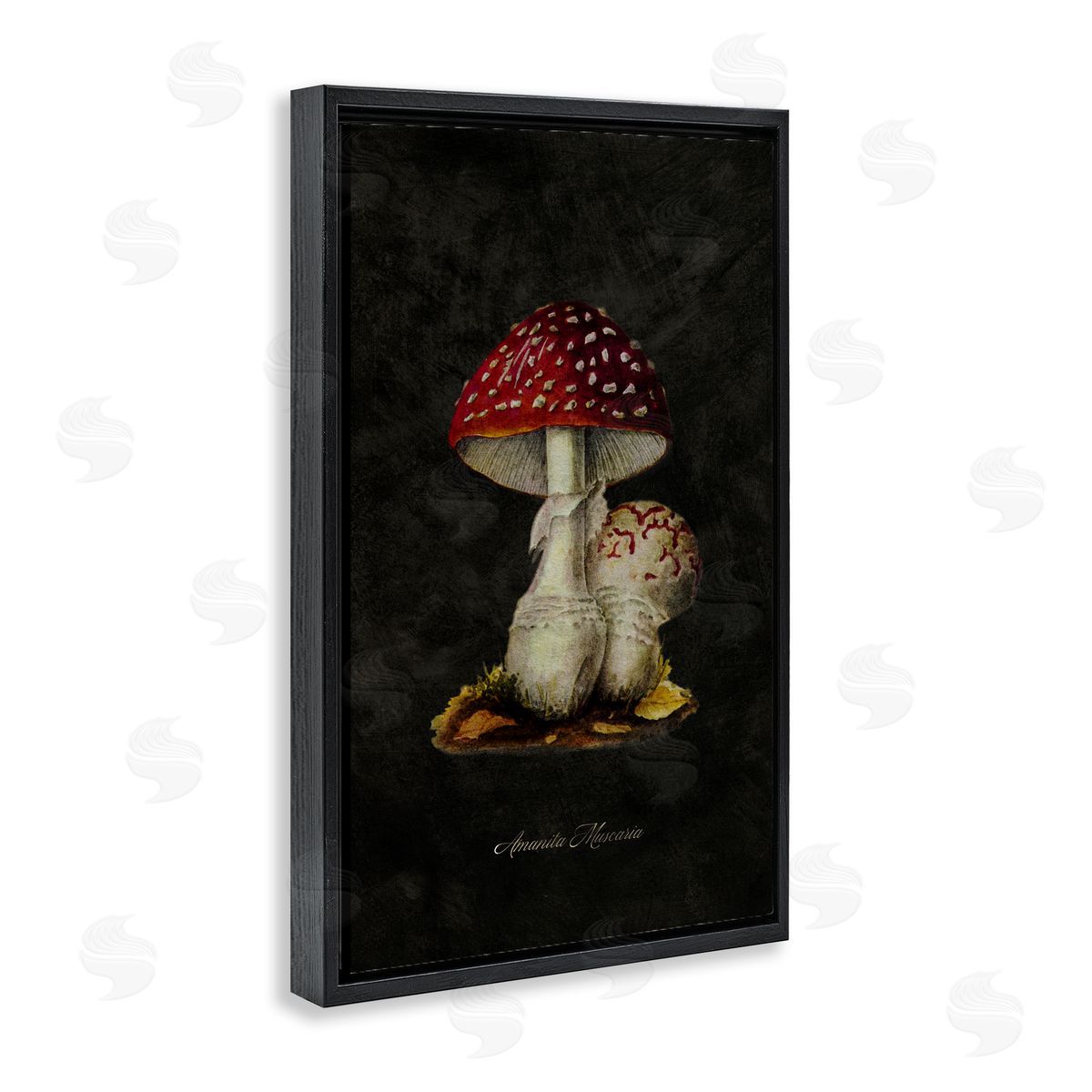 Tina Higgins Designs Inc. Rustic Mushroom Pair Black Floating Frame Canvas Wall Art Print